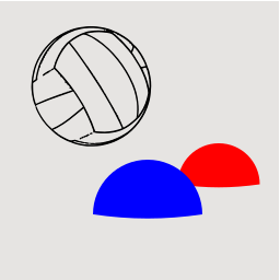 Volleyball 2D Logo